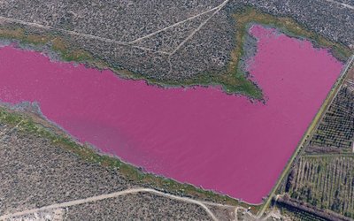 Argentinian lagoon turns bright pink due to pollution