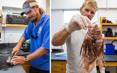 29132134141_01282bf26-1024x683