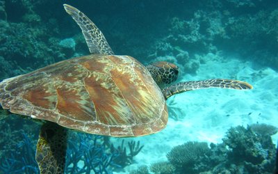 3718366422_e926cb5511_o