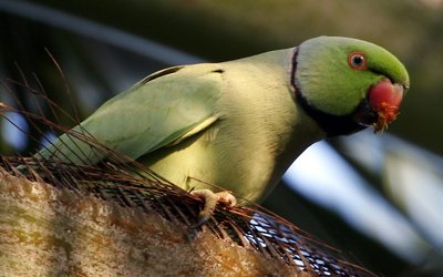 468031039_d952bd97ae_o