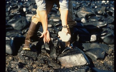Exxon Valdez for carousel