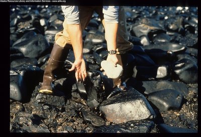 Exxon Valdez for carousel