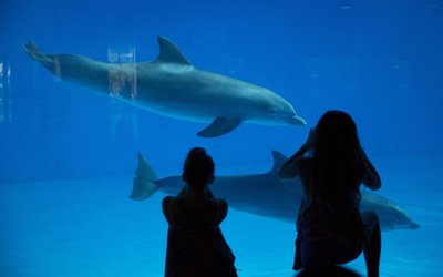 Views Of Baltimore As Home Flippers Make Quick Profits On Real Estate Investments