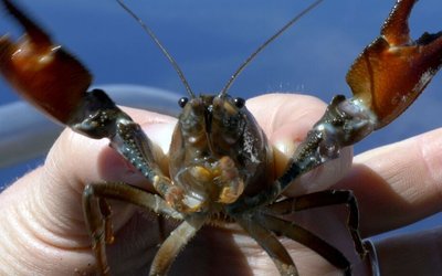 JWC_lhitgYctnUaj42zoQvIuvbBuSr9up_dD5dAbc2A