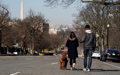 Security fencing removed near the U.S. Capitol in Washington