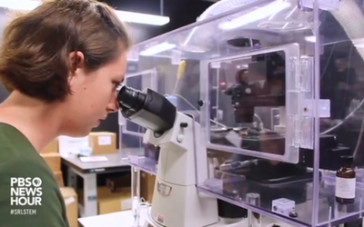 Screen Shot 2019-03-29 at 12.35.46 PM