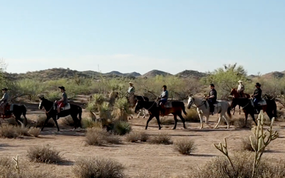 Screen Shot 2022-07-18 at 12.25.20 PM