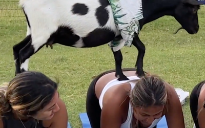 Screen Shot 2022-07-27 at 1.28.42 PM