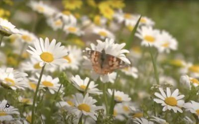 Screen Shot 2023-04-25 at 8.52.14 AM