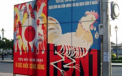 bird_flu_blog_main_horizontal