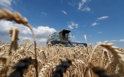 FILE PHOTO: A combine harvests wheat in a field in Kyiv region