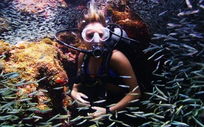 diver_RED_blog_main_horizontal