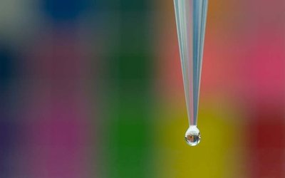 drop_blog_main_horizontal