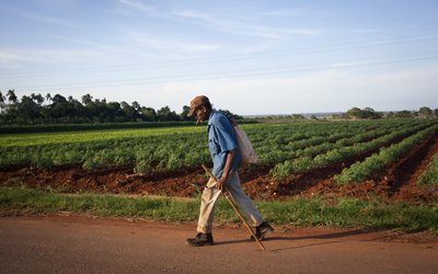 Cuba Aims for More Foreign Investment In Agriculture Sector