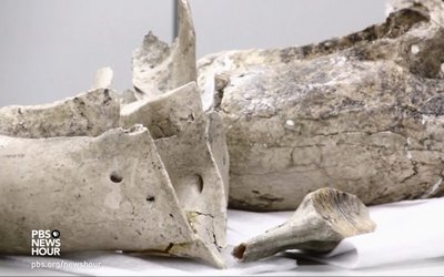 mammoth2-e1499211304578-1024x553