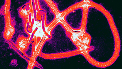 si-ebolaexplainer copy