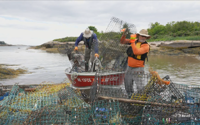 ghost-gear-gulf-of-maine-lobster-traps-frame_13167-1024x576
