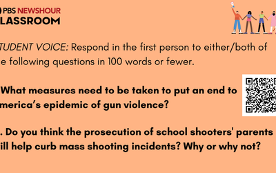Invention Ed ED VOICE ZOOM (1)