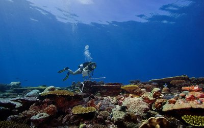 coral-reef-e1619733019372-1024x567