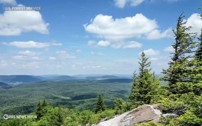 Screenshot 2025-06-25 at 11.05.13 AM