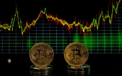 FILE PHOTO: Bitcoin tokens and a price chart are seen in this illustration picture