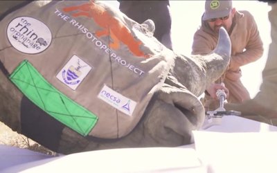 SavingSpecies-1024x576 (1)