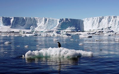 File photo of an Adelie penguin standing atop a block of melting ice near the French station at Dumont díUrville in East Antarctica