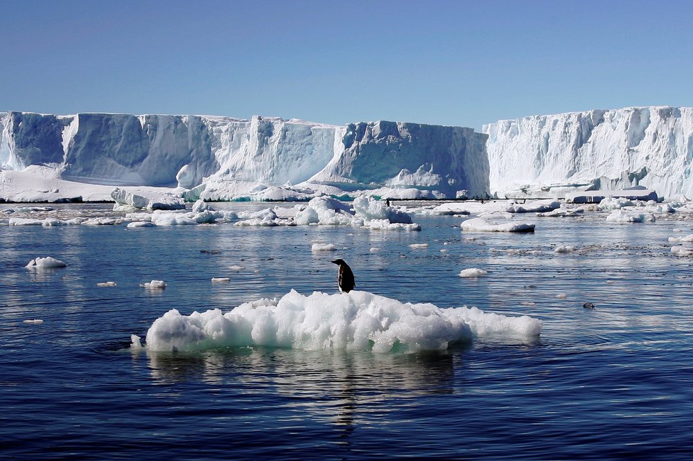File photo of an Adelie penguin standing atop a block of melting ice near the French station at Dumont díUrville in East Antarctica