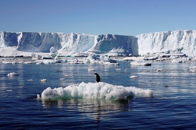 File photo of an Adelie penguin standing atop a block of melting ice near the French station at Dumont díUrville in East Antarctica