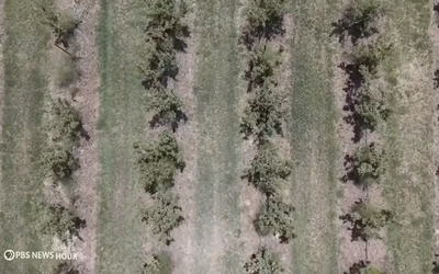 farmland