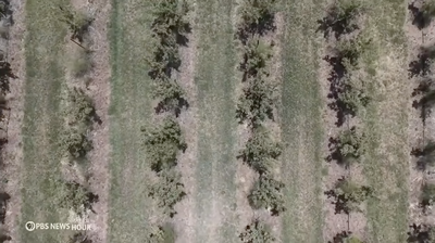 farmland