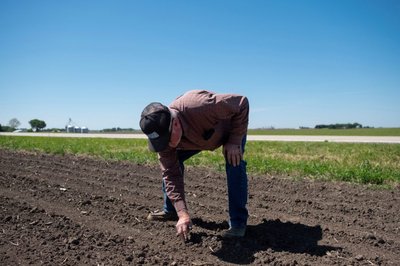 Facing low prices for all crops, U.S. farmers eye soy planting expansion