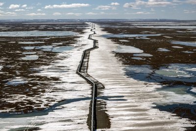 Alaska Climate Change Wildlife Oil Drilling Caribou Birds
Science