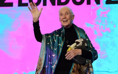 SXSW in London