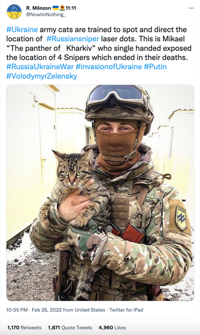 Tweet using an image of a soldier holding a cat to spread misinformation about the war in Ukraine.