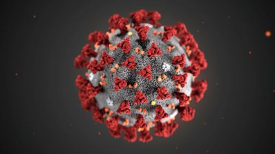 An illustration, created at the Centers for Disease Control and Prevention (CDC), depicts the 2019 Novel Coronavirus