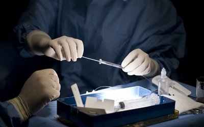 StemCells_blog_main_horizontal