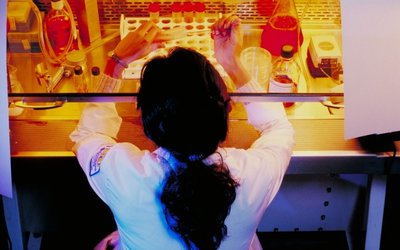 cancer-researcher