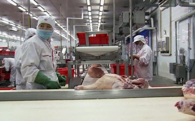 chinapork2