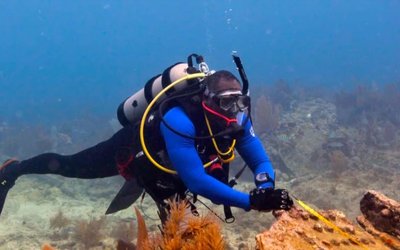 diving-1024x613