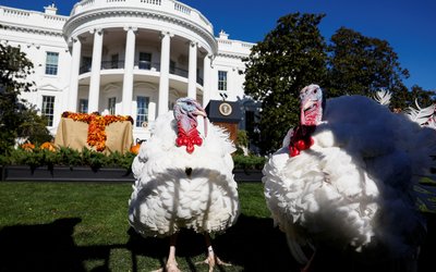 U.S. President Biden pardons the National Thanksgiving Turkeys in the annual ceremony at the White House
