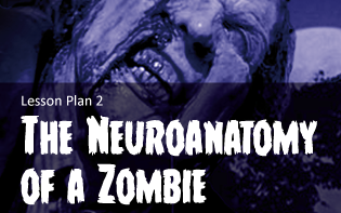 zombielesson2